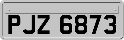 PJZ6873