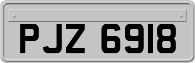 PJZ6918