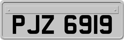 PJZ6919