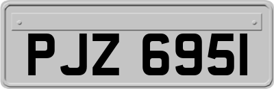PJZ6951