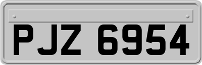 PJZ6954