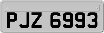 PJZ6993