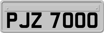 PJZ7000