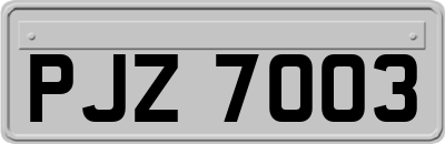 PJZ7003