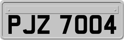 PJZ7004