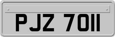 PJZ7011