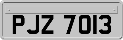 PJZ7013