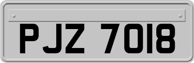 PJZ7018