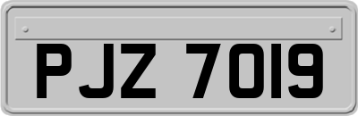 PJZ7019