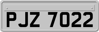 PJZ7022