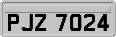 PJZ7024