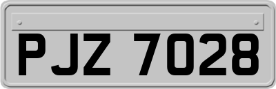 PJZ7028