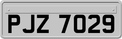 PJZ7029