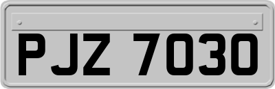 PJZ7030
