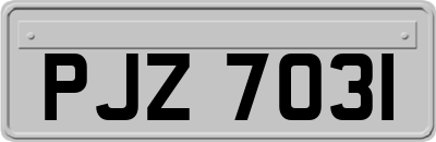 PJZ7031