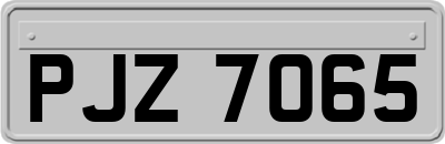 PJZ7065