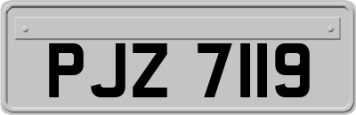 PJZ7119