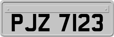 PJZ7123