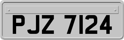 PJZ7124