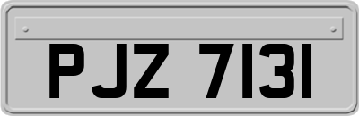 PJZ7131