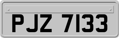 PJZ7133
