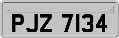 PJZ7134