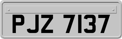 PJZ7137