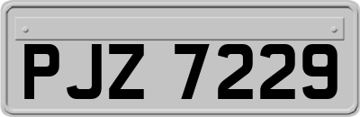 PJZ7229