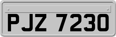 PJZ7230