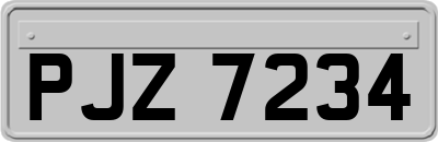 PJZ7234