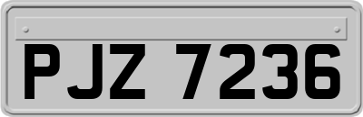 PJZ7236