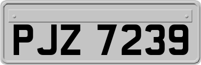 PJZ7239