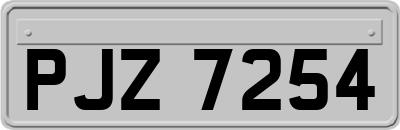 PJZ7254