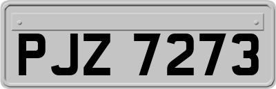PJZ7273