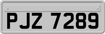 PJZ7289