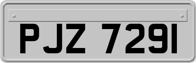 PJZ7291