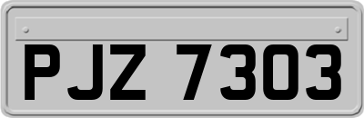PJZ7303