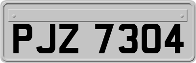PJZ7304