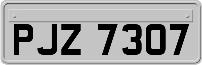 PJZ7307