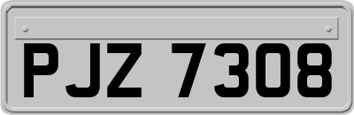 PJZ7308