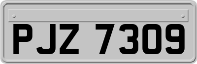 PJZ7309