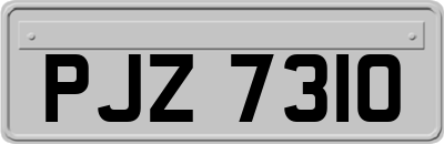 PJZ7310