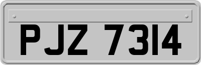 PJZ7314