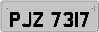 PJZ7317