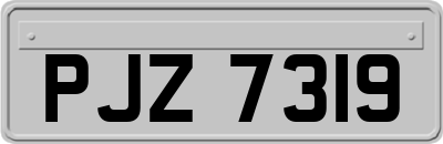 PJZ7319