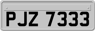 PJZ7333