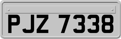 PJZ7338