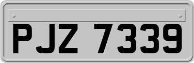 PJZ7339