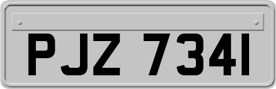PJZ7341