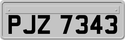 PJZ7343